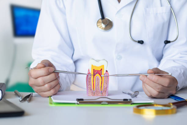 Best Emergency Treatment for Oral Infections in Denton, NC